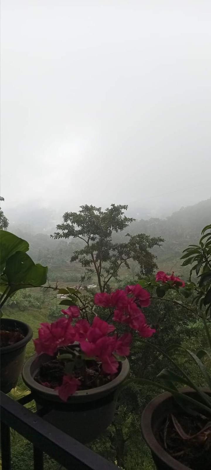 Kandy Ivy Mountain View Resort Екстер'єр фото
